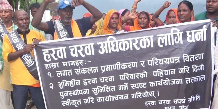 हरवा–चरवाको अधिकार माग्दै मधेस भवन अगाडि एक सातादेखि धर्ना जारी