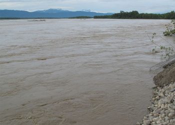 नारायणी नदीबाट ६७ शव संकलन, अन्य शवको खोजी जारी