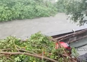 फिलिपिन्समा मनसुन र चक्रवातका कारण ४३ जनाको मृत्यु, अर्बौँको भौतिक क्षति