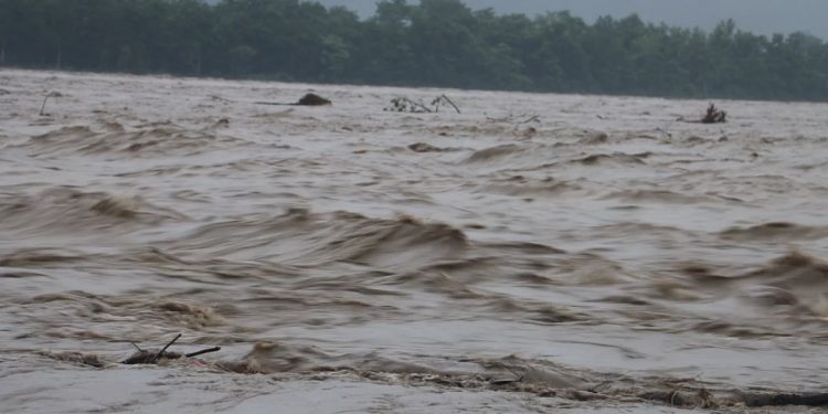 नारायणी नदीमा बाढीको भीषण रूपः खतराको तह नाघेर ११ मिटर माथि, गोब्रेनी बस्ती जलमग्न हुँदै