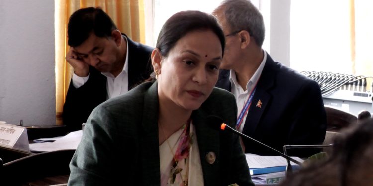 गभर्नरको तीन वर्षे कार्यकालपछि दुई वर्ष थप गर्न सकिने व्यवस्था उपयुक्तः रास्वपा सांसद भण्डारी
