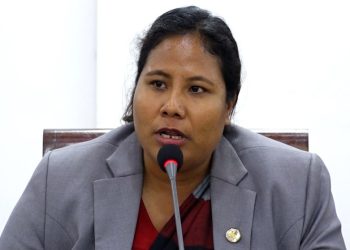 जलवायु परिवर्तनलाई राष्ट्रिय प्राथमिकताको एजेण्डा बनाउनुपर्छः वनमन्त्री चौधरी
