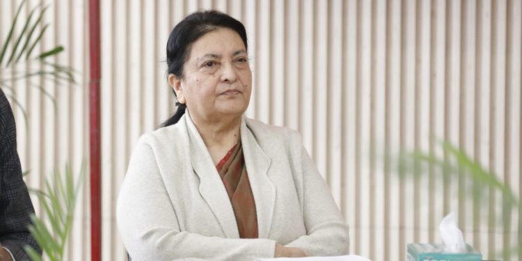 लोकतान्त्रिक गणतन्त्रको रक्षार्थ पुनः पार्टीमा आवद्ध भएँः भण्डारी
