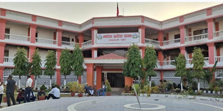 जैनबको निधनपछि एमालेले नाजमालाई बनायो प्रदेश सांसद