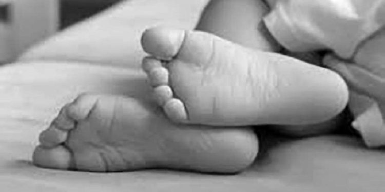 बारामा पिकअपको ठक्करबाट पैदलयात्रीको मृत्यु, चालक पक्राउ