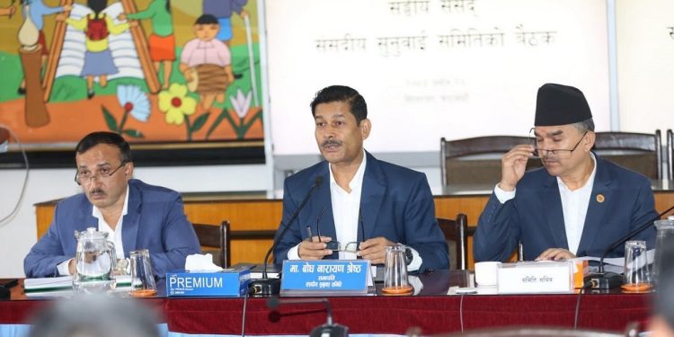 प्रस्तावित चार राजदूतविरुद्ध परेका उजुरीमाथि आज सुनुवाइ