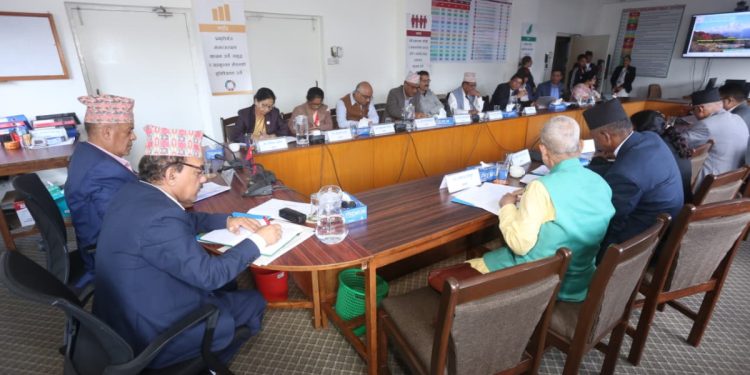 विकास आर्थिक मामिला सशासन समिति बैठक (तस्बिरहरु)