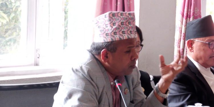 नेपाल एयरलाइन्सको सुधारका लागि ‘एक्शन रिसर्च’ र विज्ञ सम्मिलित समिति गठन गर्न माग