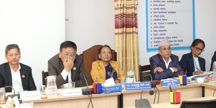 संघीयता सबलीकरण तथा राष्ट्रिय सरोकार समितिको बैठक (तस्बिरहरु)